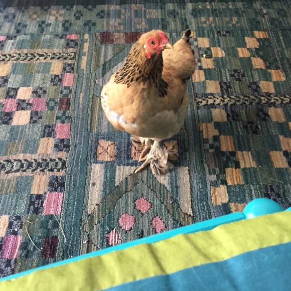 Meet your Posher, Redmontster. - Picture 15 of 15